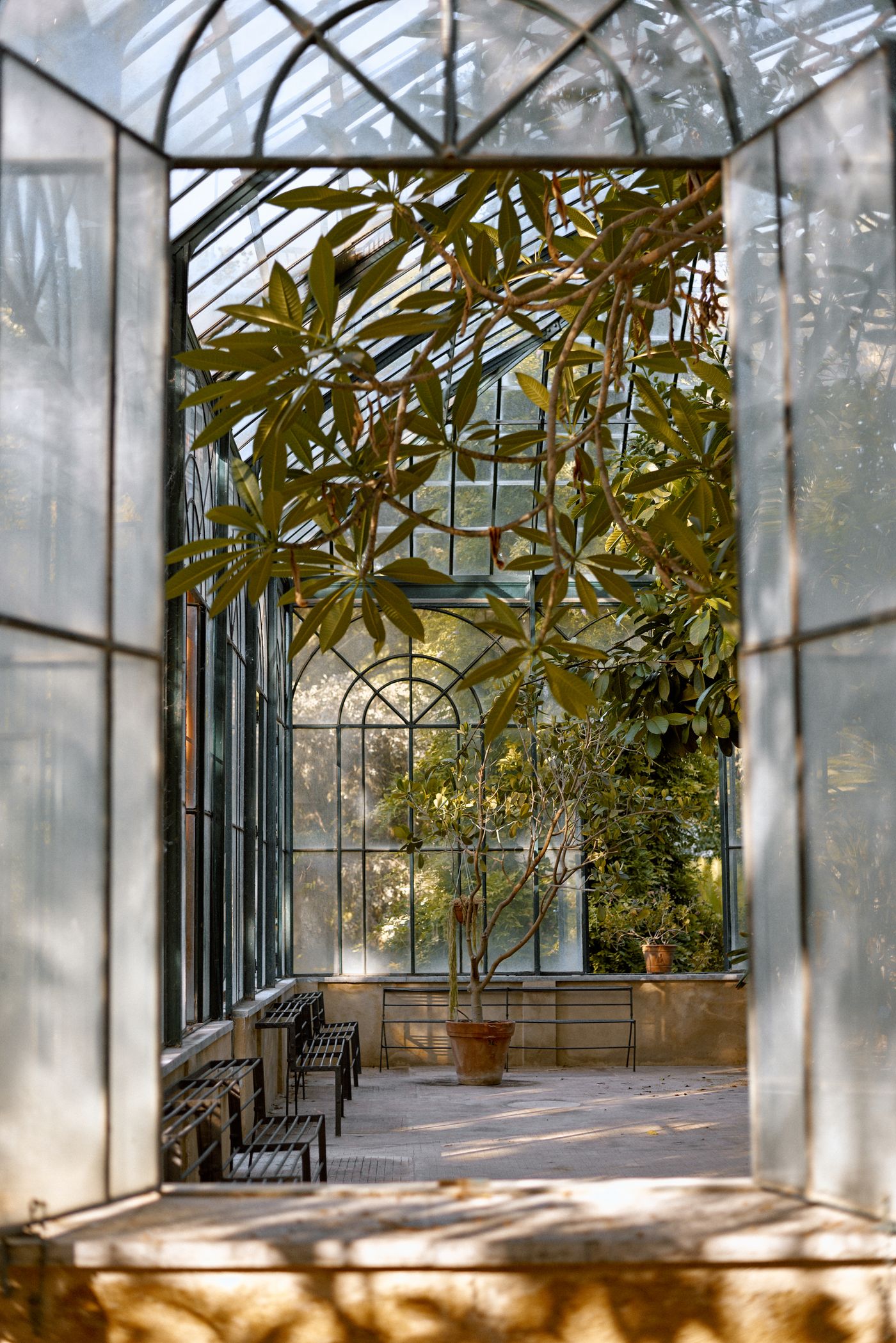 Glasshouse interior with arched glazing and established planting