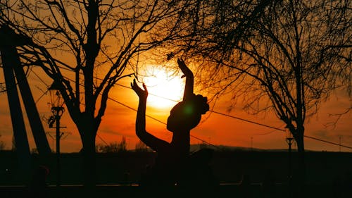 Бесплатное стоковое фото с ruky, slnko, zapadajúce slnko
