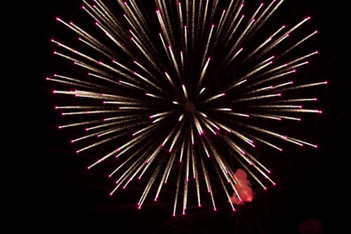 Free Captivating image of colorful fireworks bursting in the night sky, creating a sense of celebration. Stock Photo