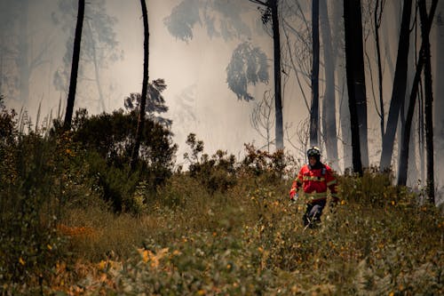 Firefighter Walking in a Forest in Smoke 