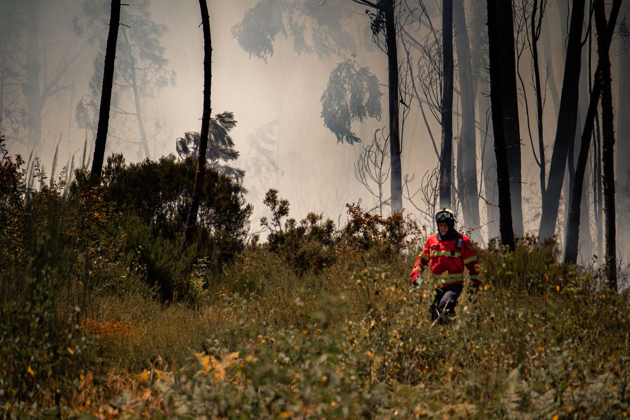 One Dead and Extensive Damage Reported Following Omiš Wildfire