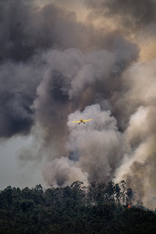 Avion Jaune Et Noir Survolant Des Nuages Blancs