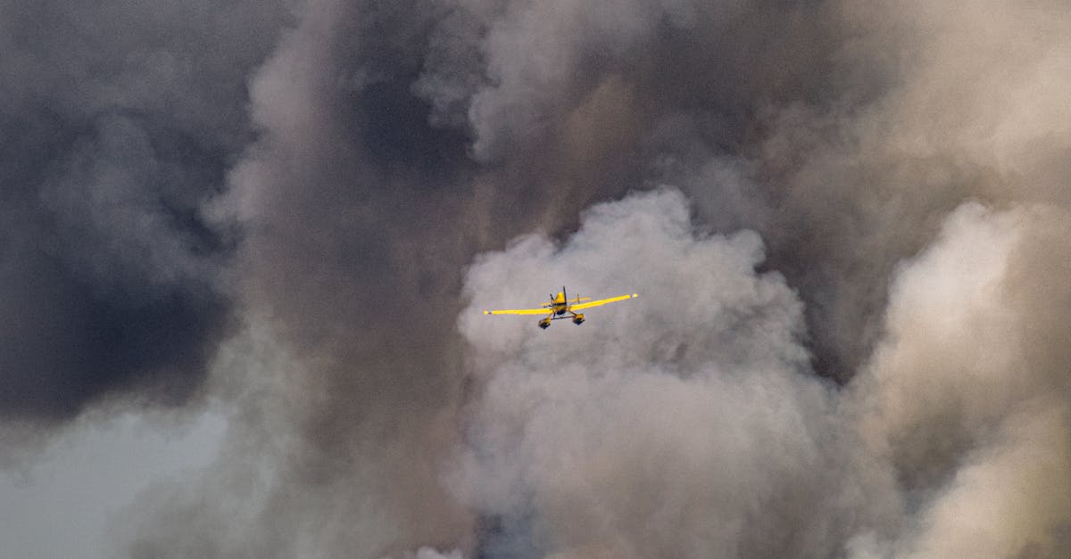 海地的未來:政治、經濟與自然的挑戰