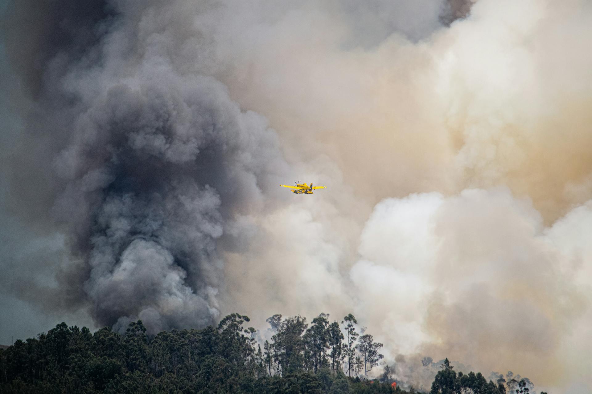 A Yellow Aircraft Flying Towards a Forest Fire