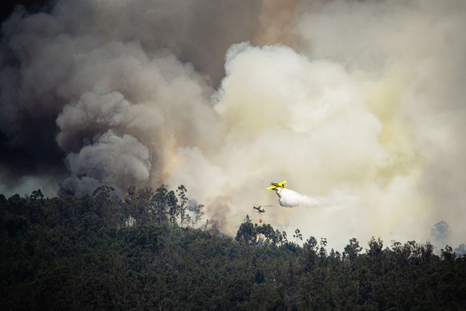 Patru Incendii Devastatoare în Păduri și Gospodării, Zeci de Pompieri și Elicoptere Mobilizate pentru Stingere VIDEO