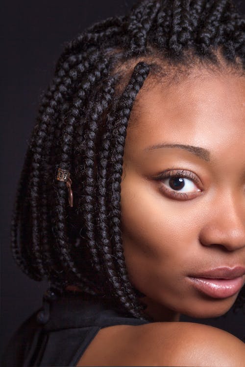 Ingyenes stockfotó afro-amerikai nő, álló kép, copf témában