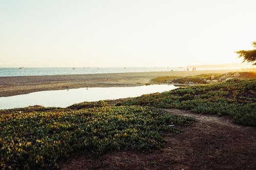 Безкоштовне стокове фото на тему «берег моря, море, морський пейзаж»