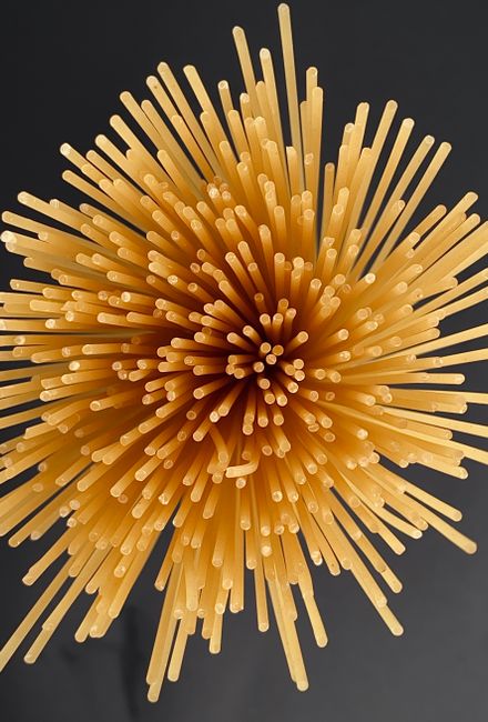Exploring Versatility in Culinary Creations