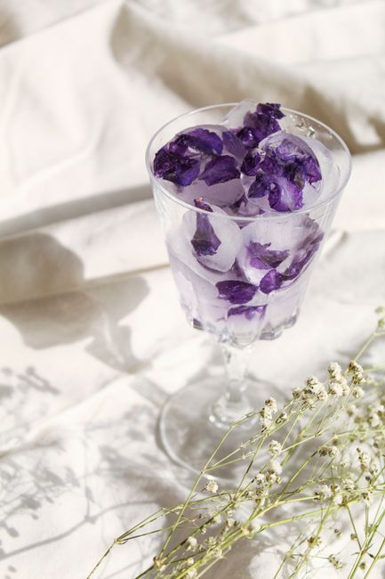 A delicate still life featuring purple petal ice cubes in a glass, bathed in sunlight.