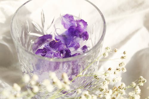 Fotos de stock gratuitas de aroma, cubitos, flores