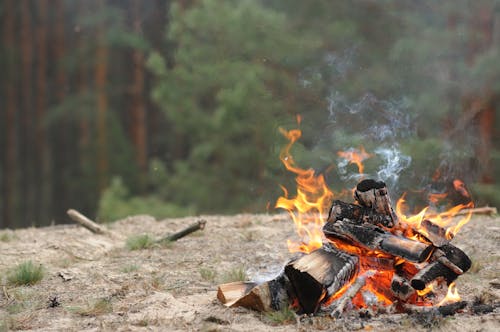 Burning Wood on Sand