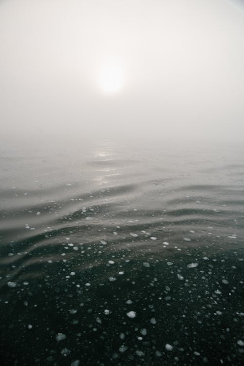 açık, deniz, dikey atış içeren Ücretsiz stok fotoğraf