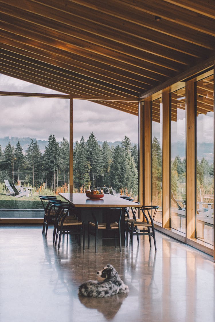 Dining Room Interior With Resting Dog On Floor