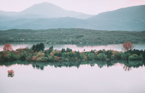 Picturesque landscape of calm lake water and island with bushes and trees near mountains