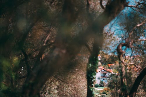 Small cottage behind forest on hill