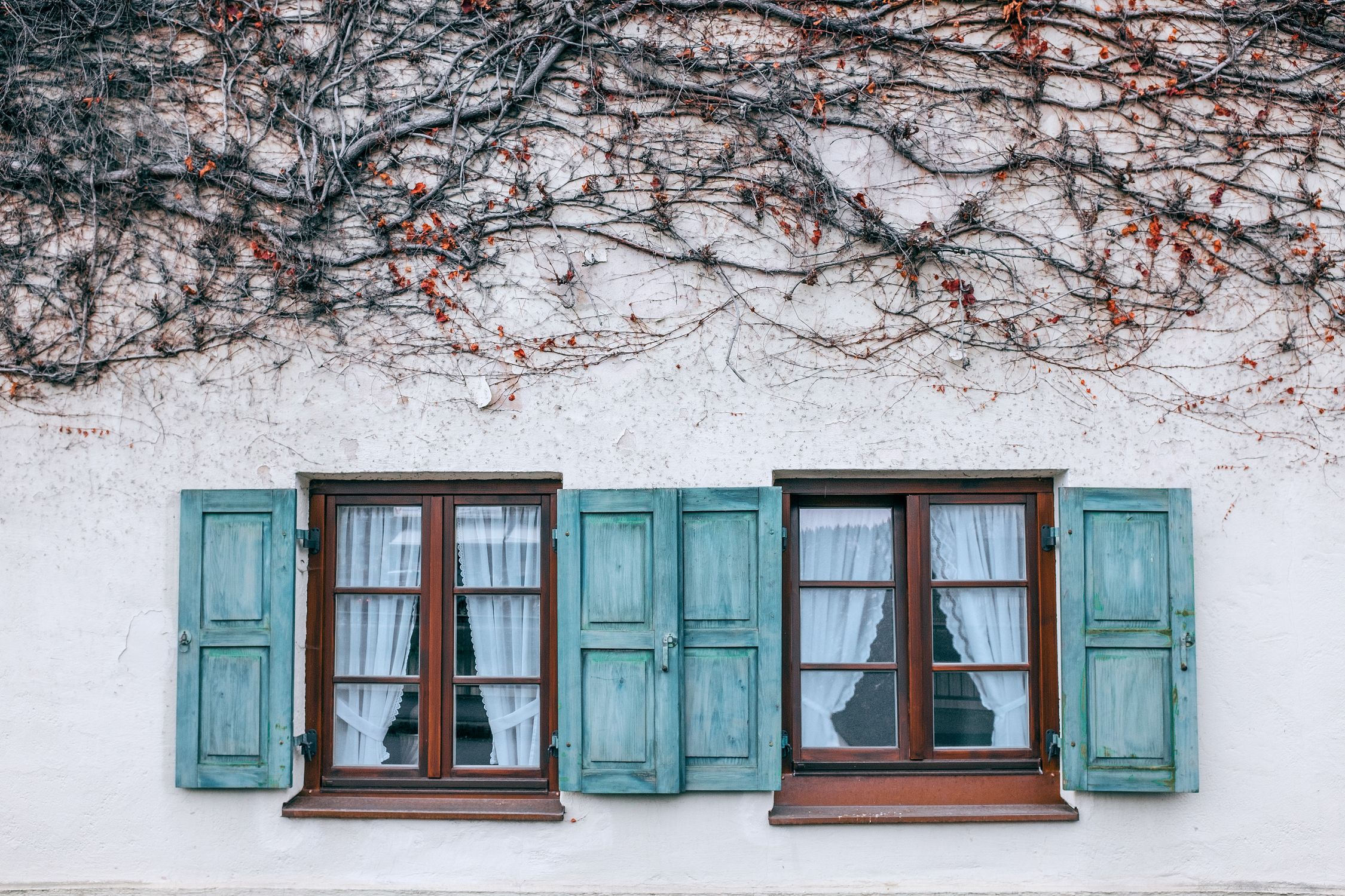 Tips To Choose The Shutter Design For Your Home Tips To Choose The Shutter Design For Your Home