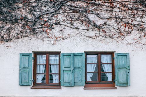 Free Exterior of old house with blooming plant on walls and glass windows with wooden frame Stock Photo