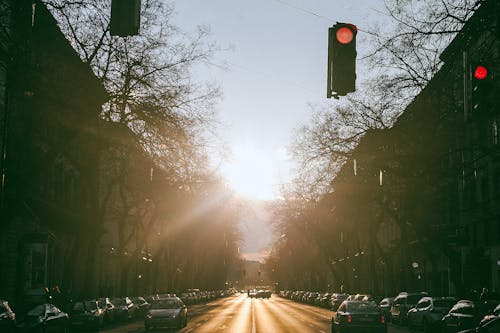 免费 在日落时路的交通灯 素材图片