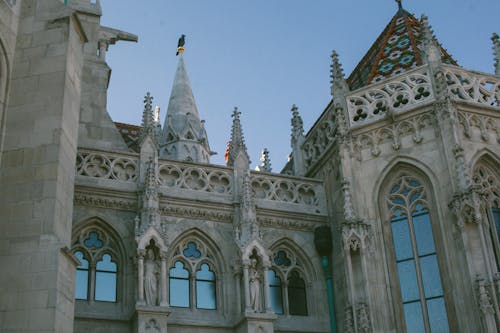 From below of black bird sitting on top of tower located amidst beautiful old gothic cathedral with rose widows against blue sky