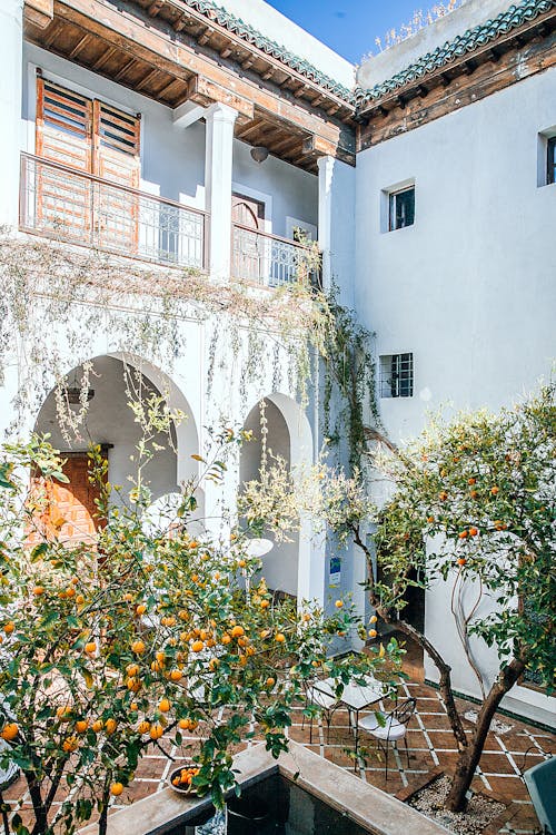 Facade of building with arches and balcony near terrace with decorative pool and tangerine trees