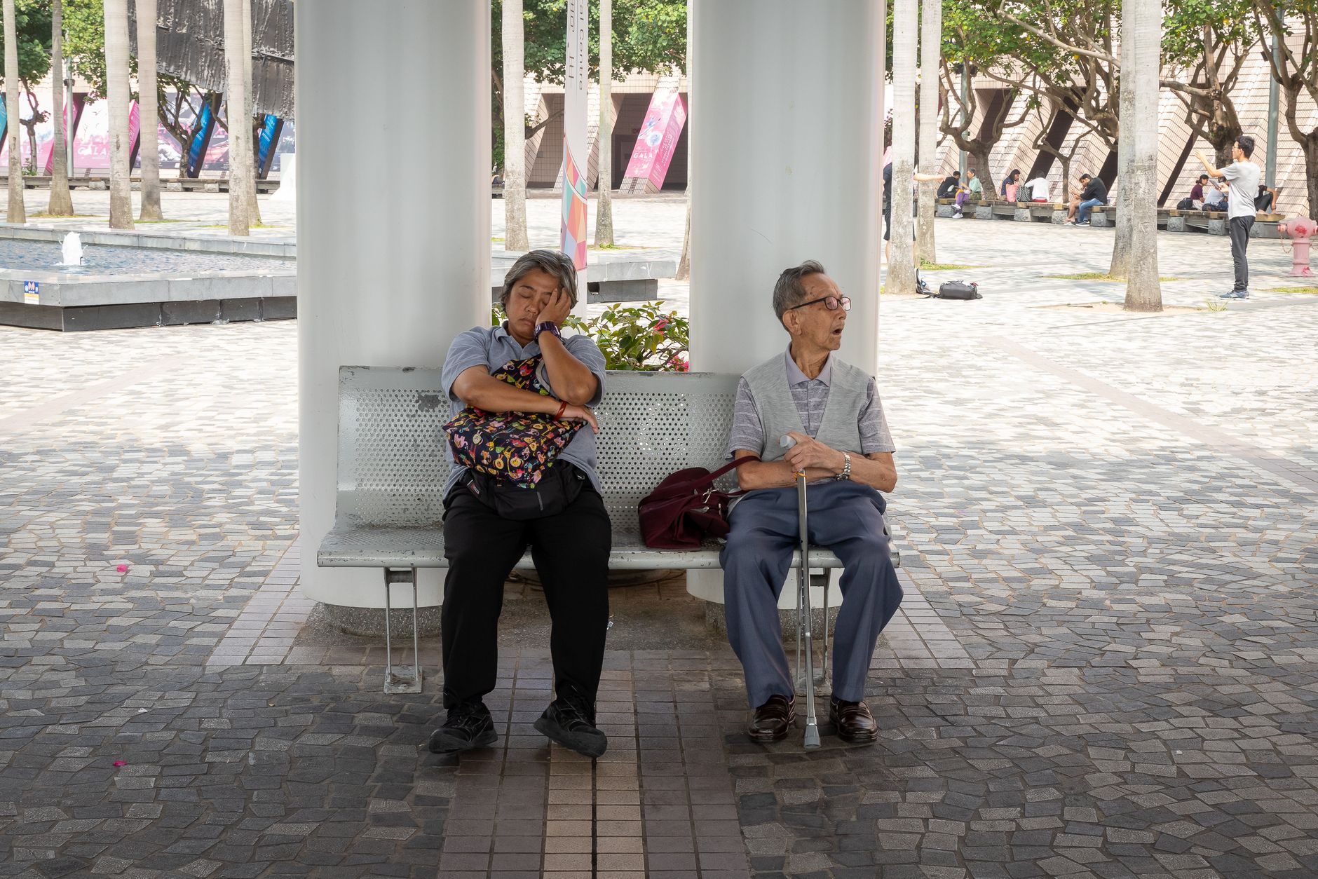 太平山頂適合帶父母的長者路線:平坦路徑與無障礙設施指南 Senior adults sitting on a park bench in Hong Kong, enjoying a restful afternoon outdoors