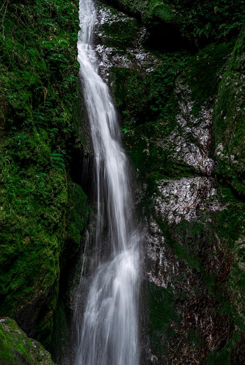 Gratis stockfoto met cascade, natuur, verticaal schot