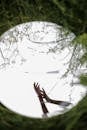 Persons Hand on Tree Branch