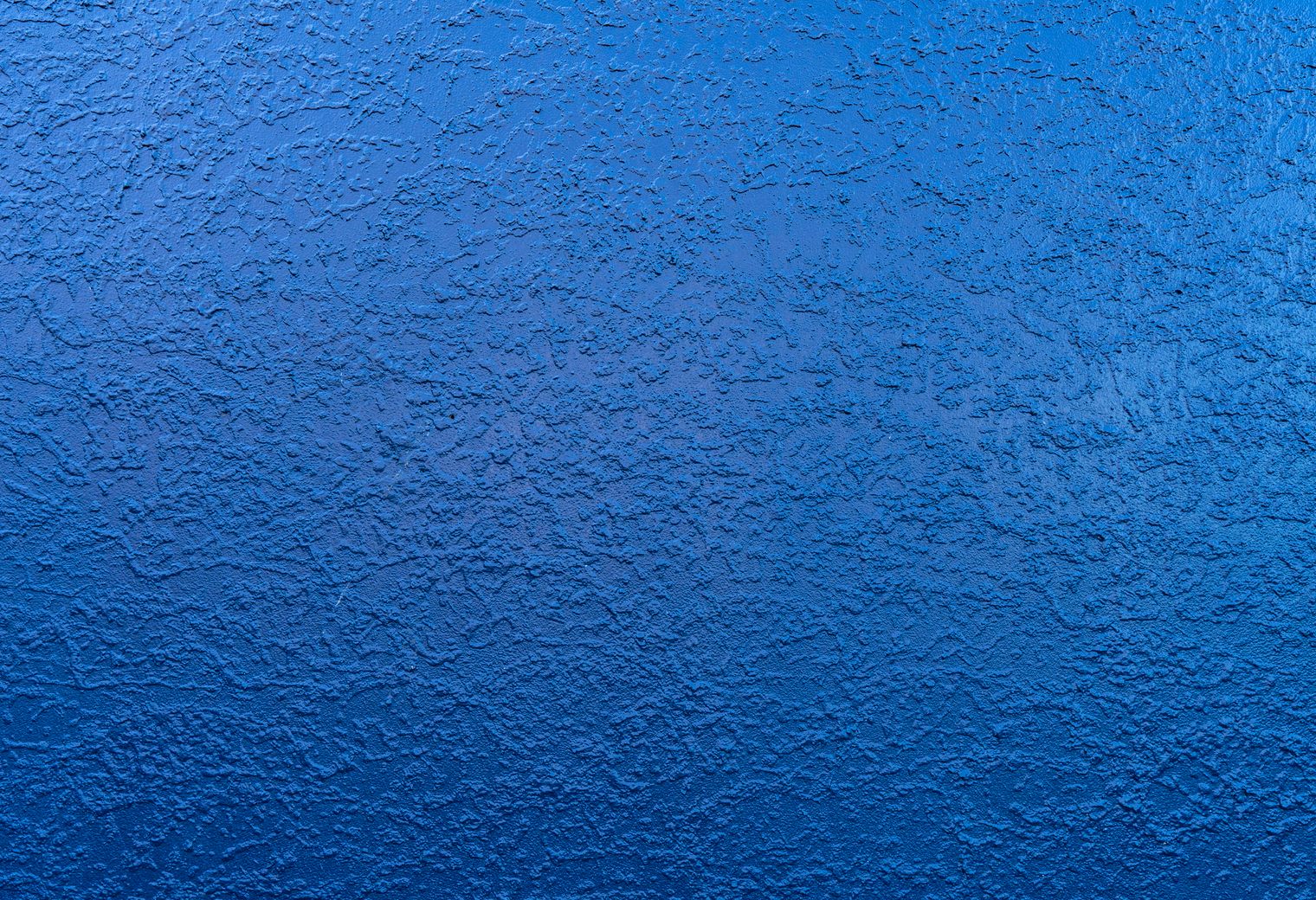 Plastering and Skimming in Forest Hill — a freshly painted, spotless finish