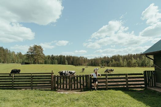 People Sitting on Brown Wooden Fence