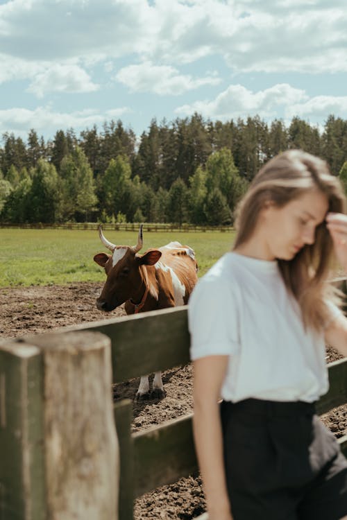 Woman in White T-shirt Standing Beside Brown Cow