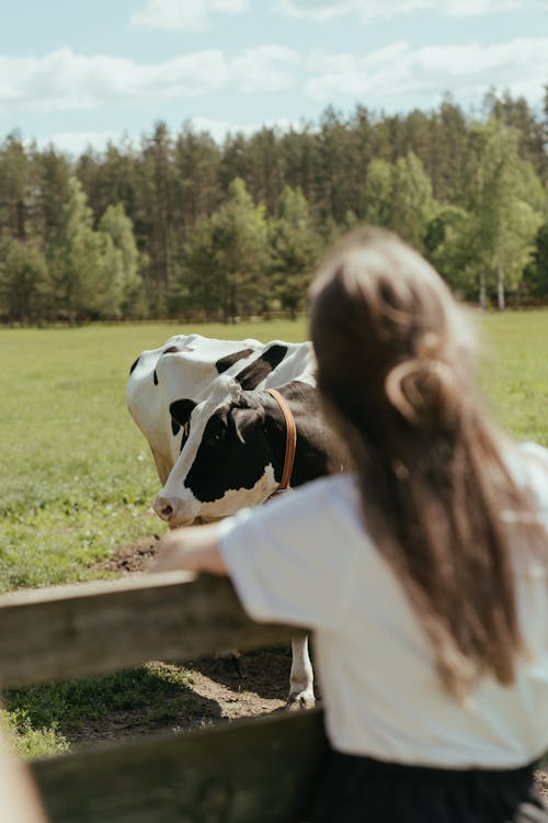 Girl in White Long Sleeve Shirt Standing Beside White and Black Cow