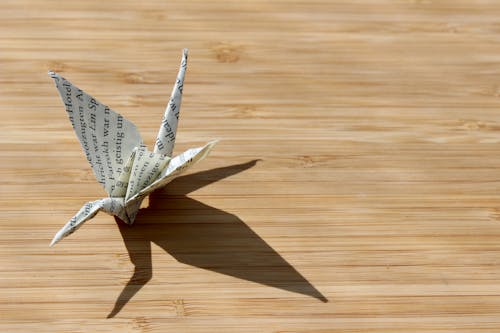 Ảnh lưu trữ miễn phí về chim, giấy, gỗ