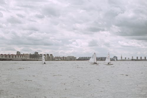 免费 白色帆船在海上 素材图片