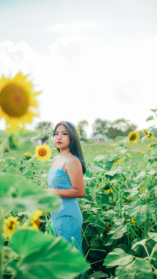 Free A young woman stands gracefully amidst a vibrant sunflower field under a bright sky. Stock Photo