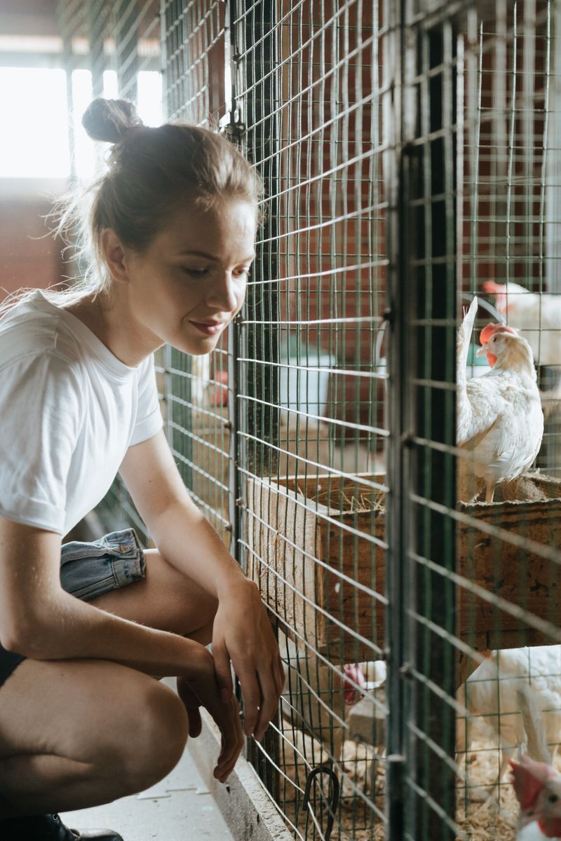 Worker checking eggs in an incubator tray