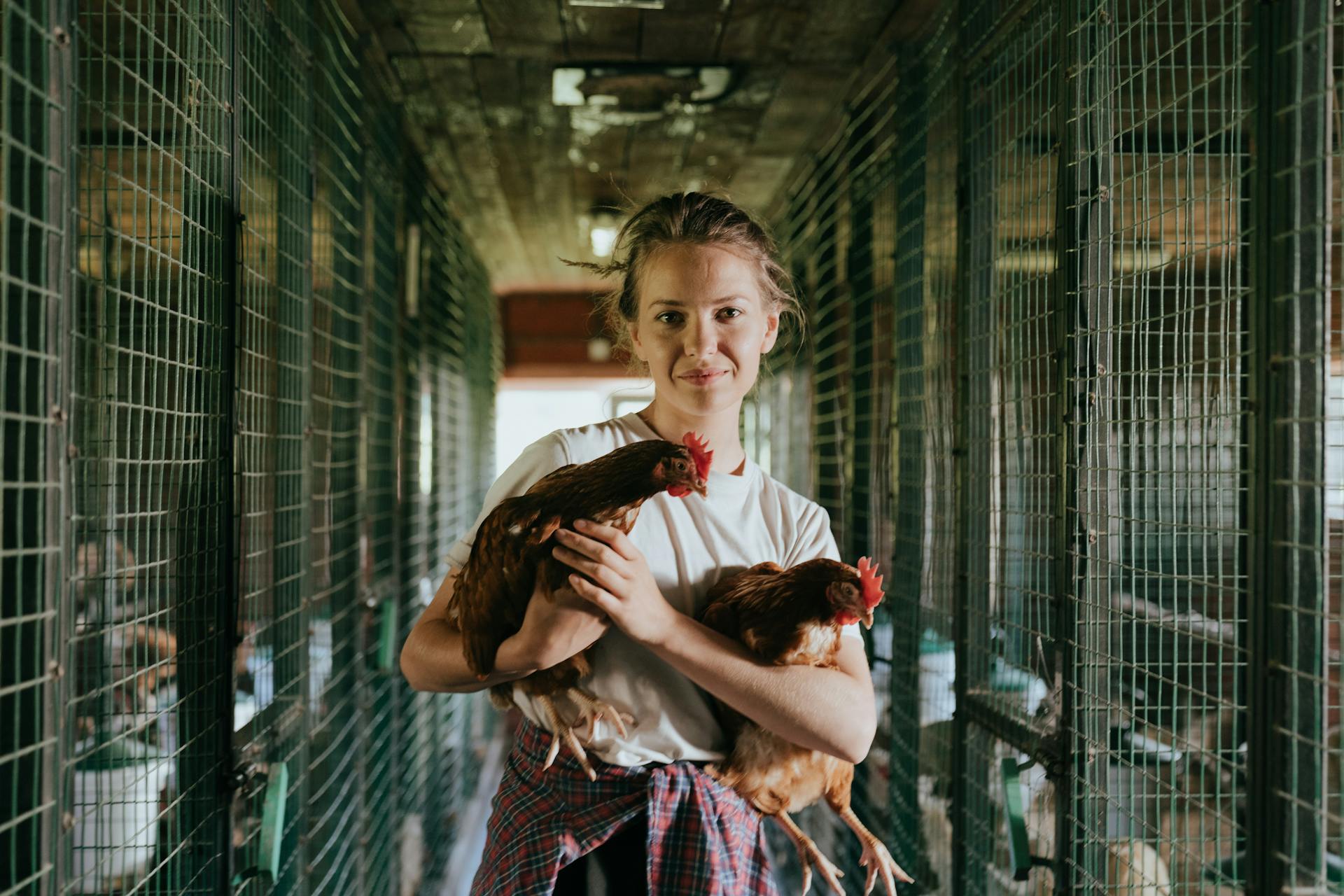 Girl in Red and White Dress Holding White and Black Chicken