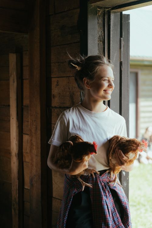 Free Happy woman holding chickens in a rustic barn, embracing farm life joyfully. Stock Photo