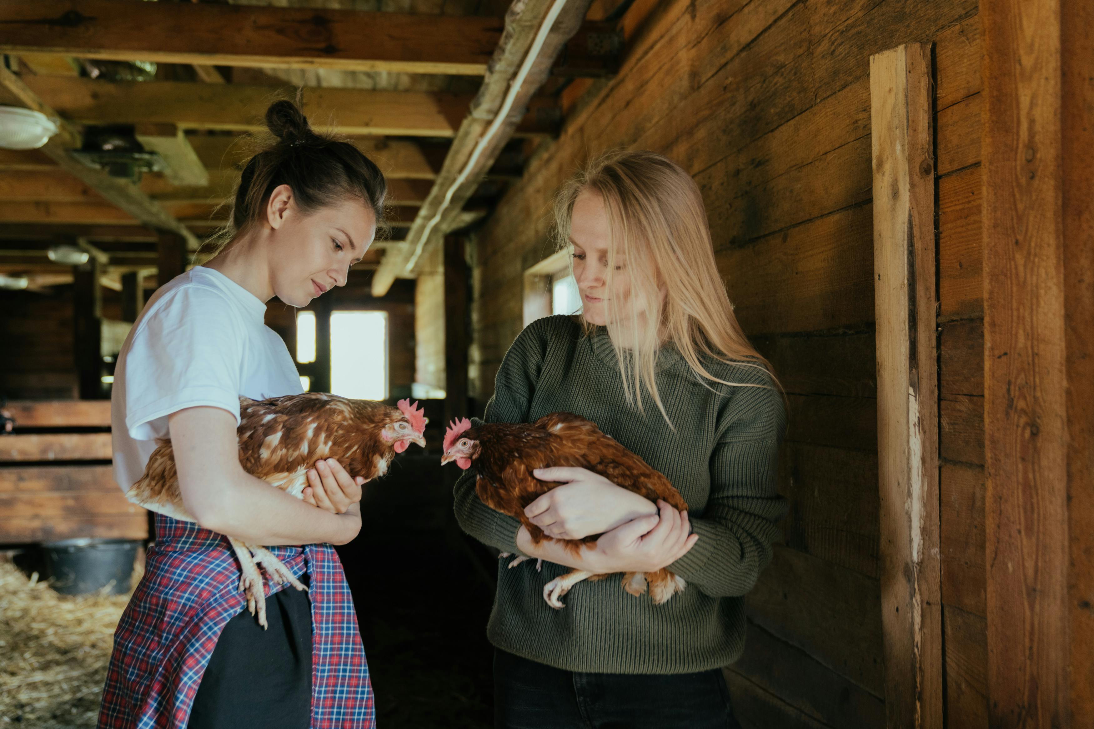 woman in gray jacket holding brown chicken