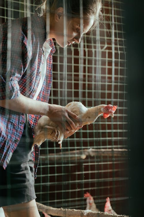 Man in Blue White and Red Plaid Button Up Shirt Holding Brown Short Coated Dog