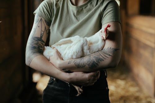 Person in Green Crew Neck T-shirt Holding White Chicken