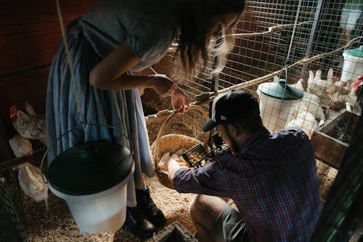 Photo by cottonbro studio A farmer and assistant gathering eggs in a rustic chicken coop on a rural farm.