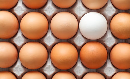 Free Top view of rows of uncooked chicken eggs placed in carton container and prepared for cooking Stock Photo