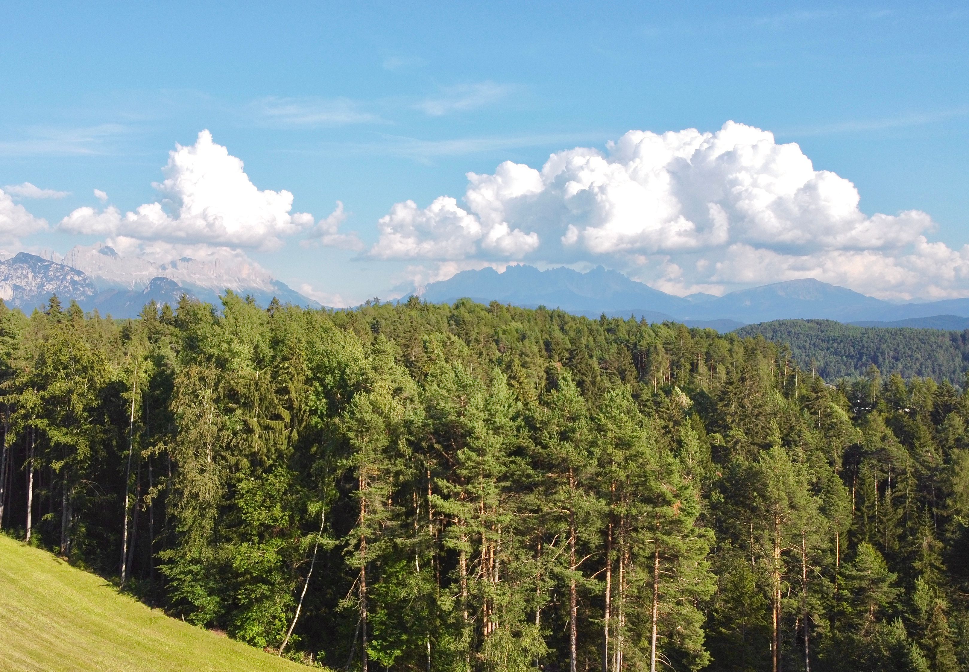 Green forest against ridges under cloudy sky · Free Stock Photo