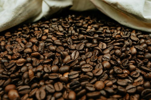 Free Abundance of bright roasted coffee beans near fabric Stock Photo