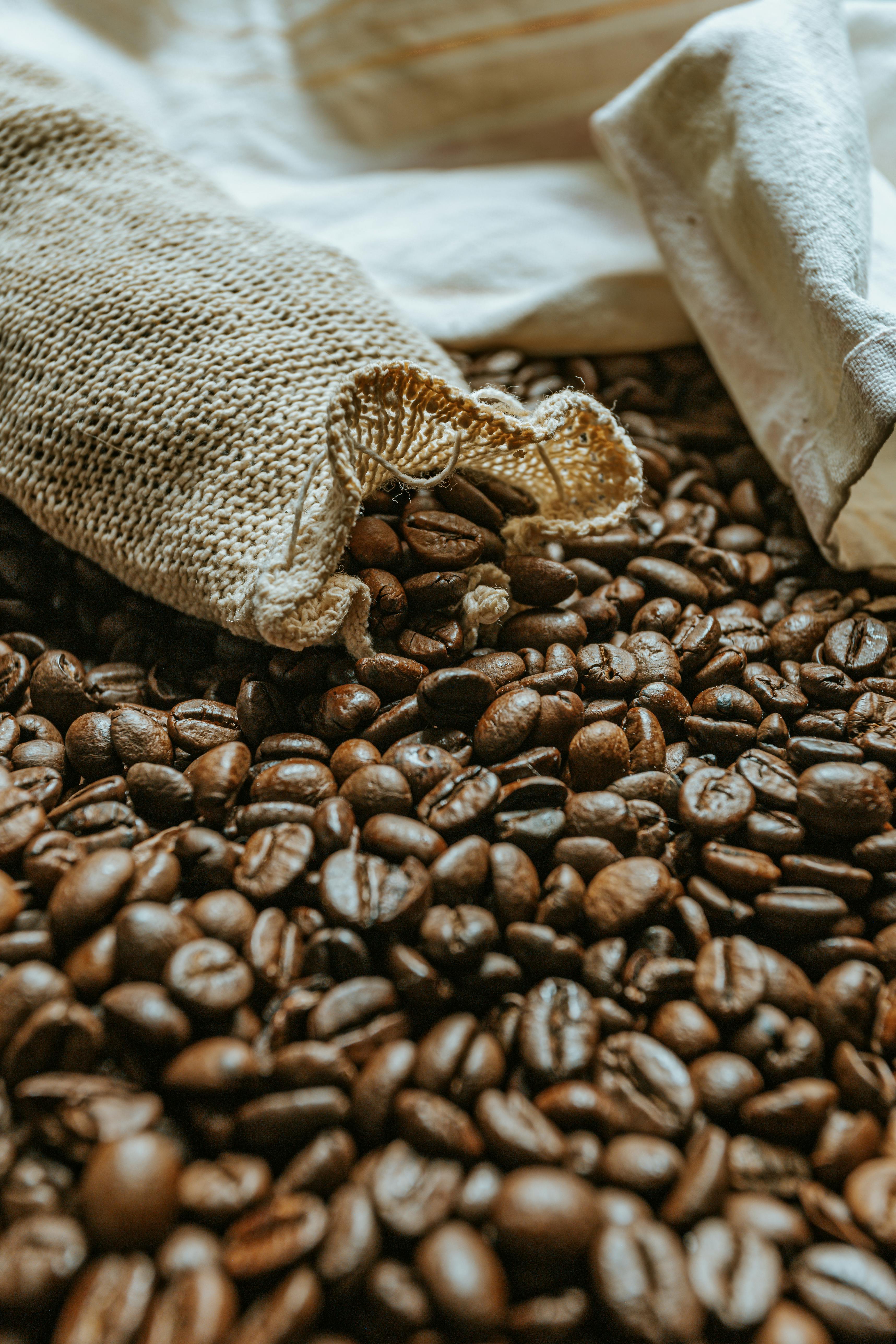 Zero waste bags on heap of roasted coffee beans · Free Stock Photo