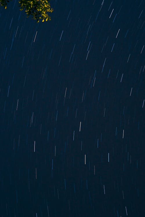 Magnificent starry night sky over forest