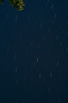 迷人的恒星轨迹在长时间曝光下，映衬着黑暗的天空，并带有淡淡的树叶