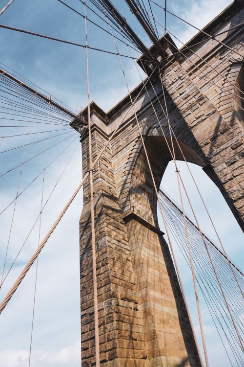 Free stock photo of brooklyn, nyc, o jornal new york times Stock Photo