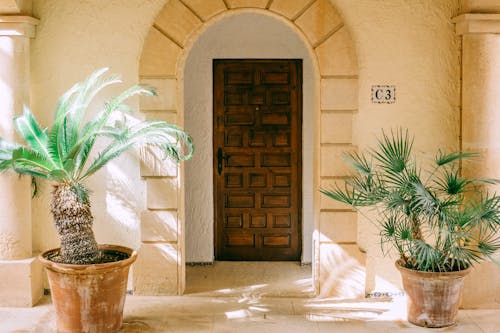 Free Exterior of stylish mansion with wooden door and yard decorated with potted European fan palm and Cycas revoluta plant on sunny day Stock Photo