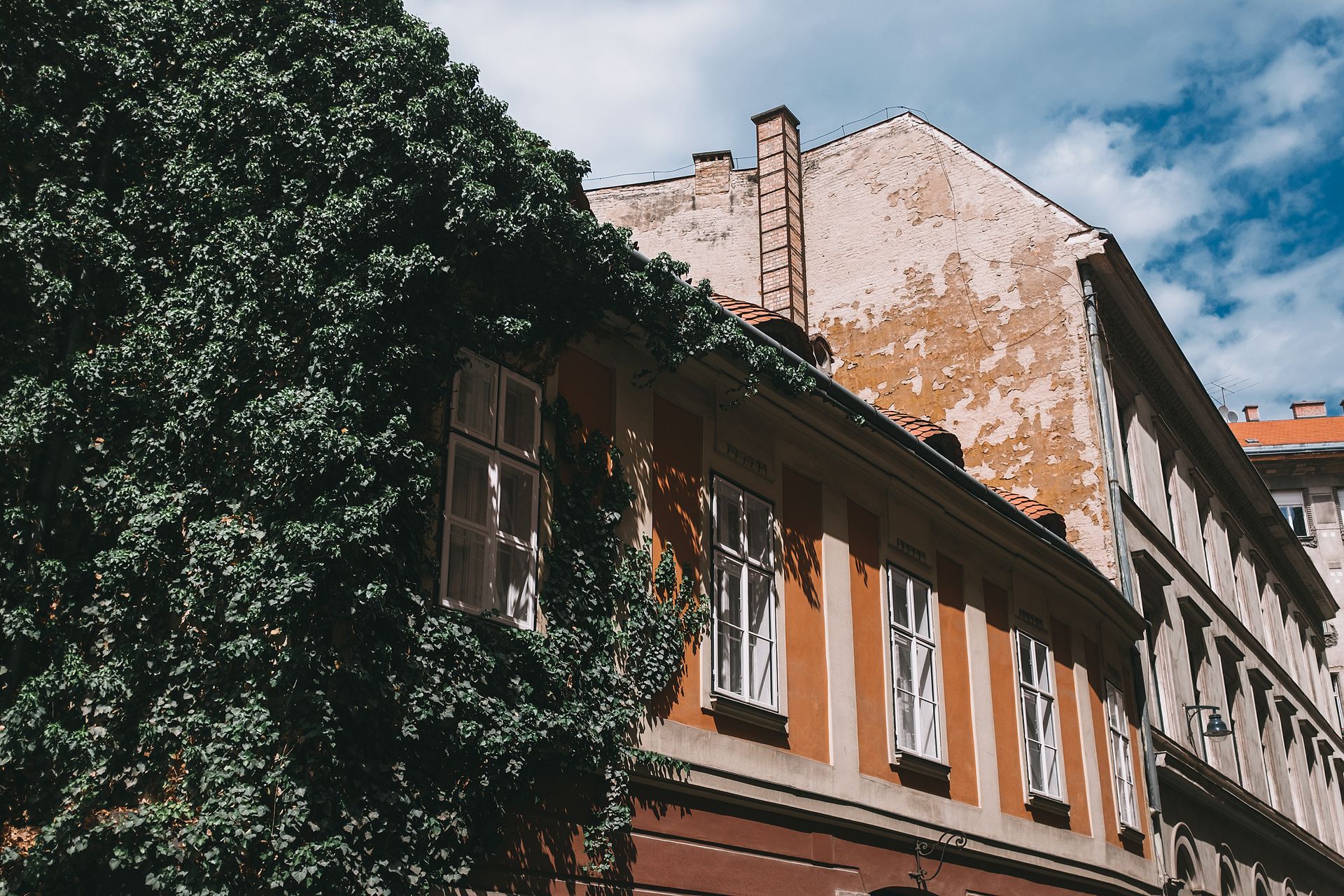 Old building with symmetric windows and lush foliage growing on wall